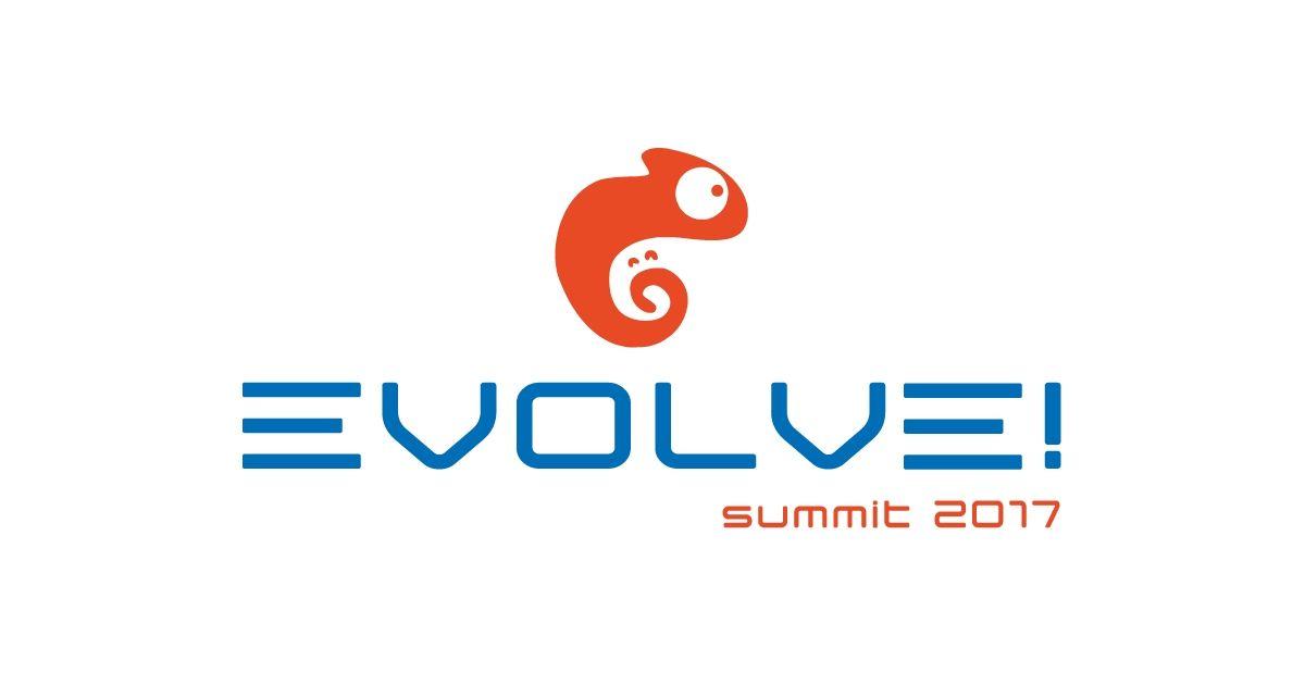 Наши впечатления от Evolve! Summit